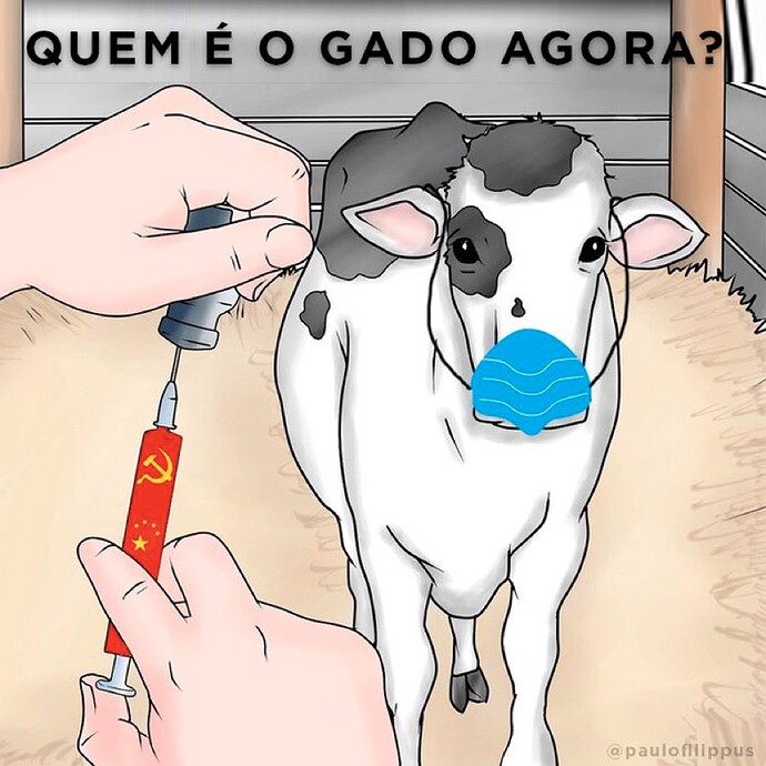 imagem
