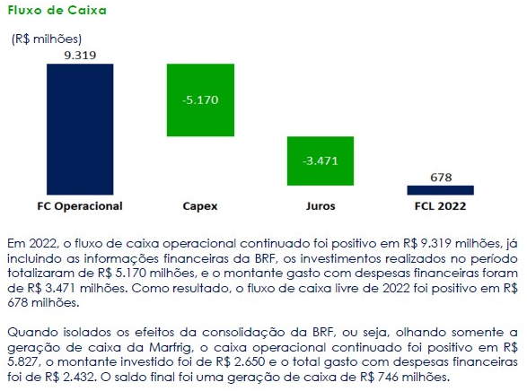 Marfrig Fluxo de Caixa
