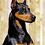 dobermanmtx